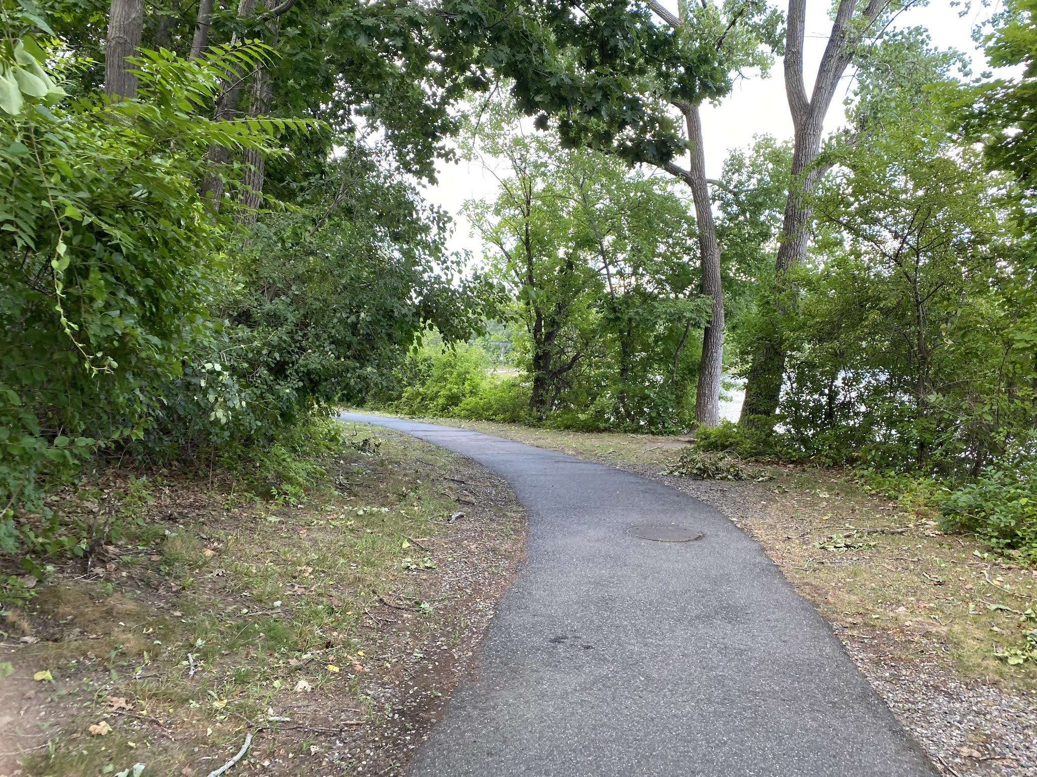 🏞️ 순채 연못 녹지(준사이이케료쿠치)